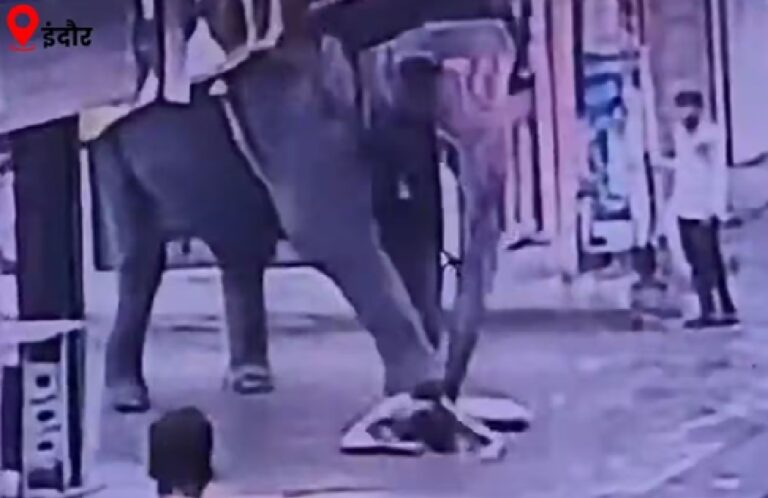 Indore Elephant Attack: महावत को गुड़ देने के बाद अचानक बेकाबू हुआ हाथी, CCTV में कैद हुआ ऑटो चालक की मौत का दिल दहला देने वाला पूरा घटनाक्रम