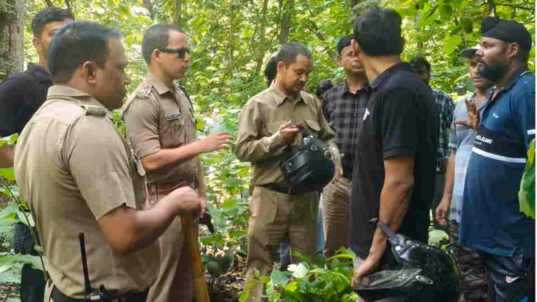 Haldwani Tiger Rumour: ‘बाघ युवक को उठा ले गया’ की खबर से मचा हड़कंप, बेलबाबा जंगल पहुंची भीड़, जांच में सामने आई सच्चाई